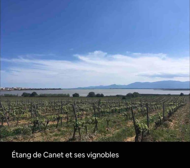 Coquet Appartement Canet-en-Roussillon Exterior foto